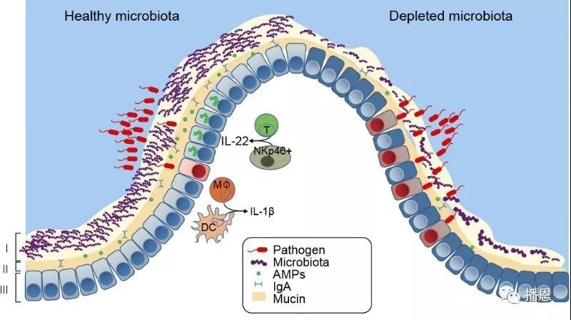 尊龙抖圈 - 为du而生