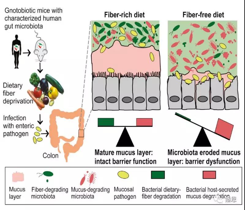 尊龙抖圈 - 为du而生