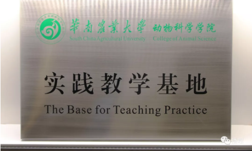 尊龙抖圈 - 为du而生