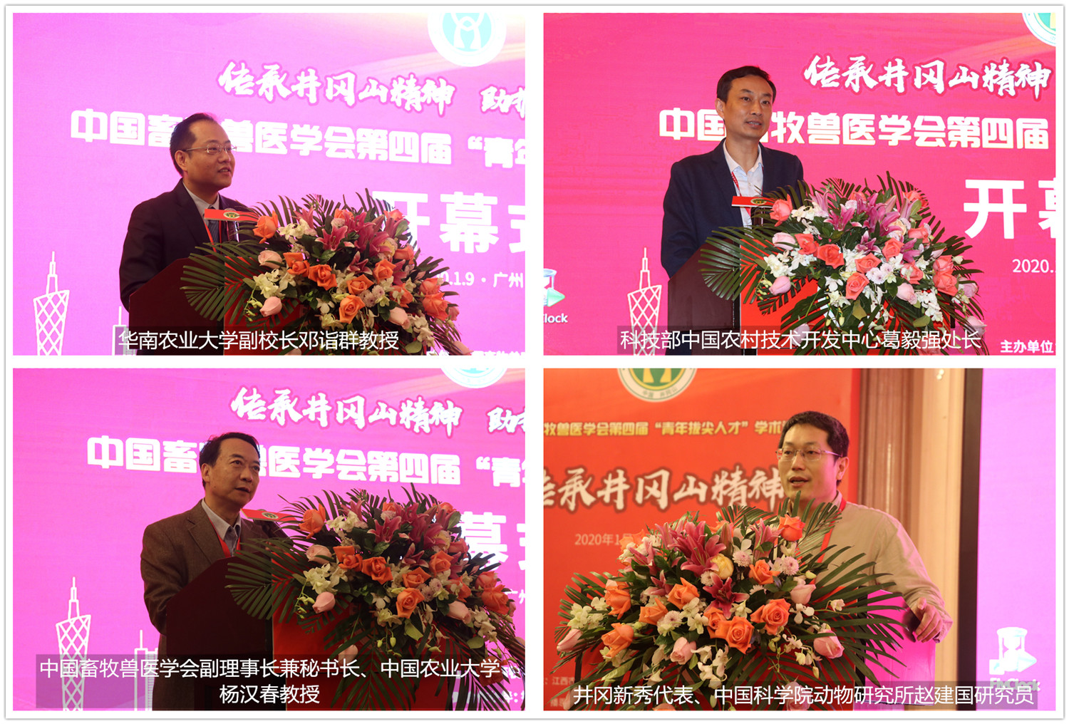 尊龙抖圈 - 为du而生