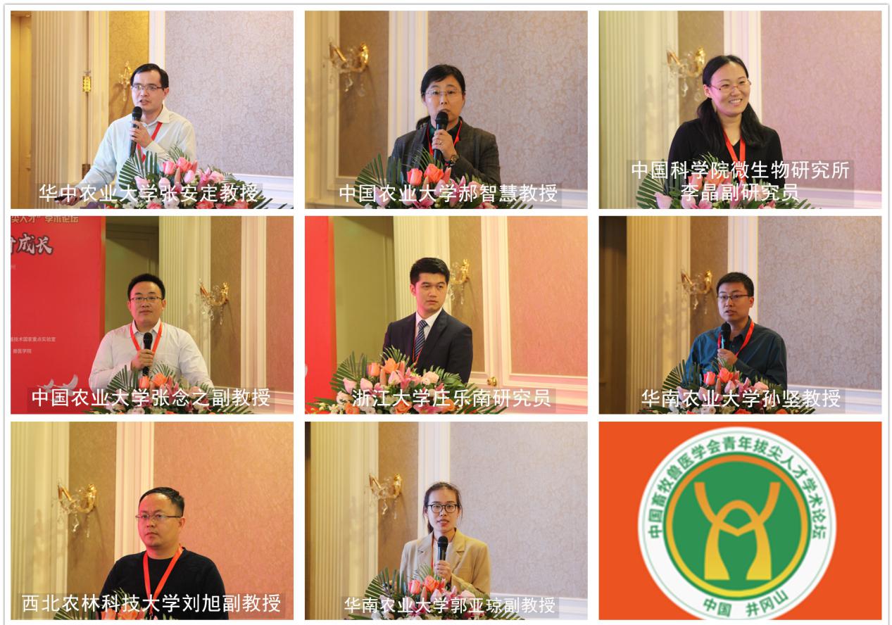 尊龙抖圈 - 为du而生