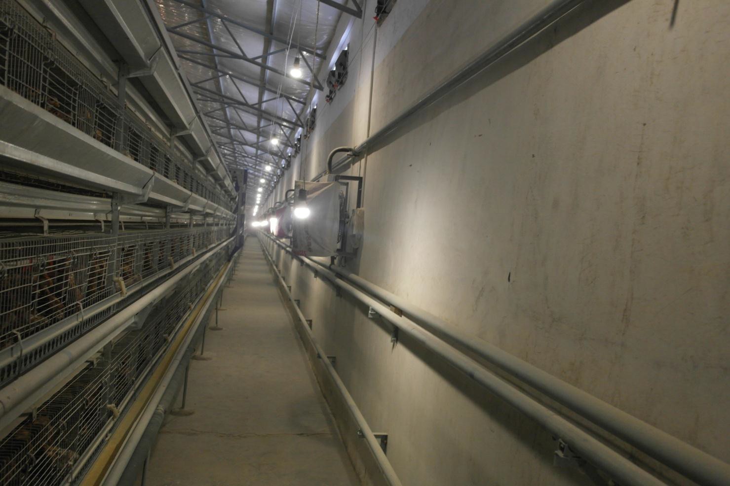 尊龙抖圈 - 为du而生