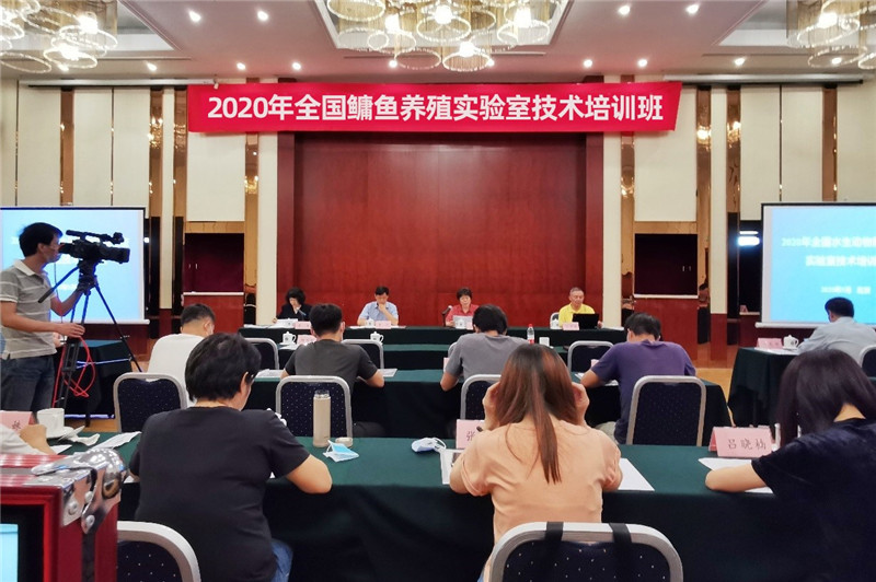 尊龙抖圈 - 为du而生