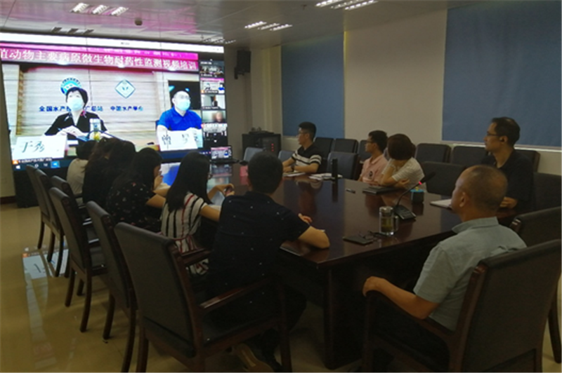 尊龙抖圈 - 为du而生