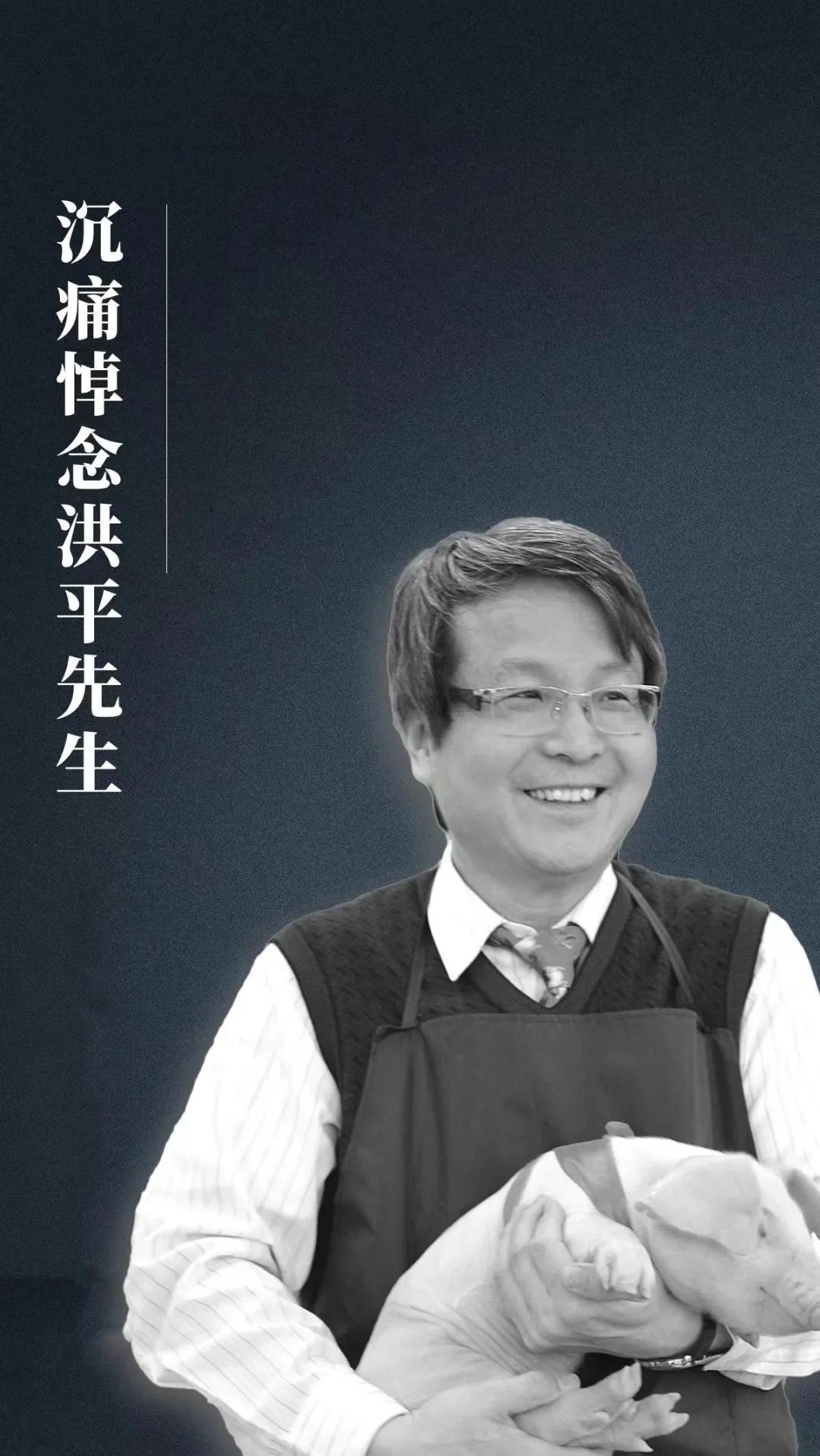 尊龙抖圈 - 为du而生