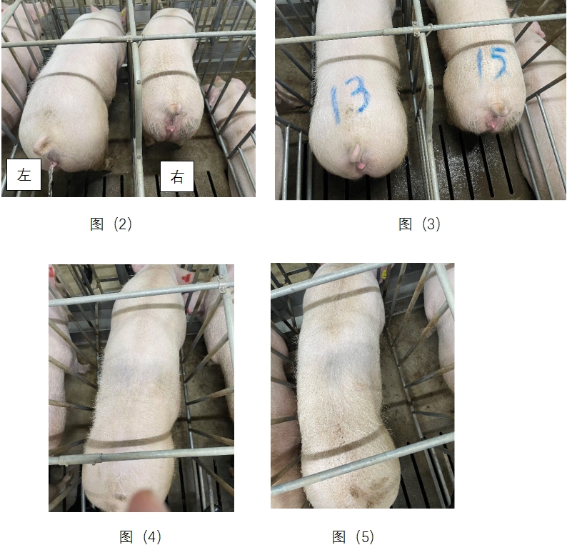 尊龙抖圈 - 为du而生